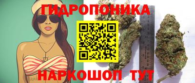 ECSTASY Коммунар