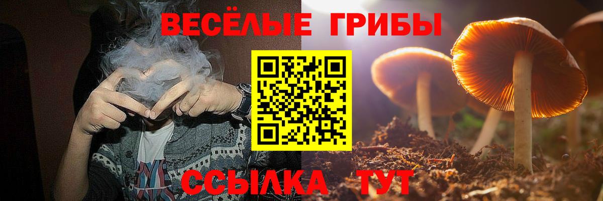 хочу   Вход с VPN  Галлюциногенные грибы MAGIC MUSHROOMS  Кирово-Чепецк  Псилоцибиновые грибы ЛСД 